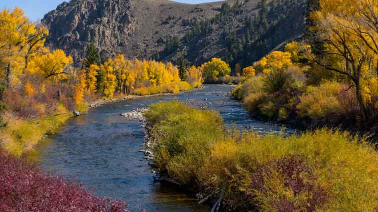 Taylor River in Colorado