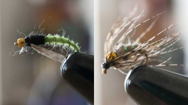 Caddis Larva Beadhead and Holly Grail Nymphs