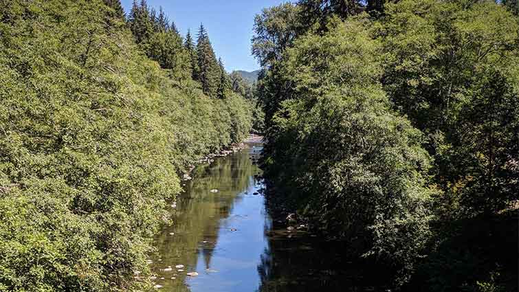 Calawah River Washington Fly Fishing