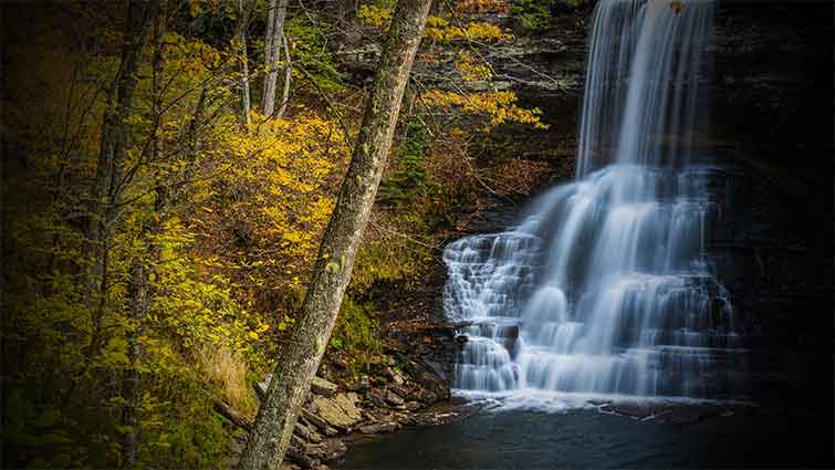 Cascade Stream Virginia