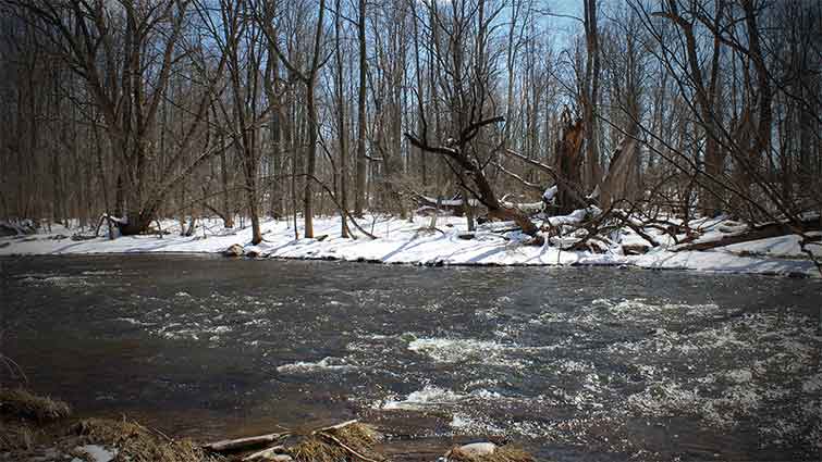 Castle Rock Creek Wisconsin Fly Fishing