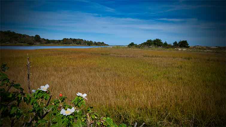 Chappaquiddick Island Massachusetts Fly Fishing