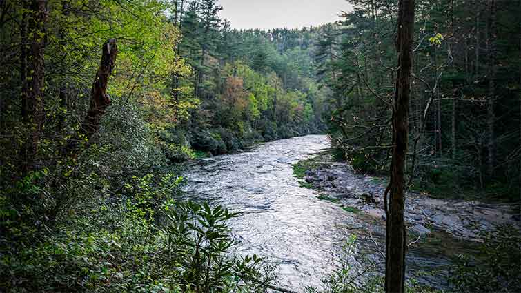 Chattooga River South Carolina Fly Fishing