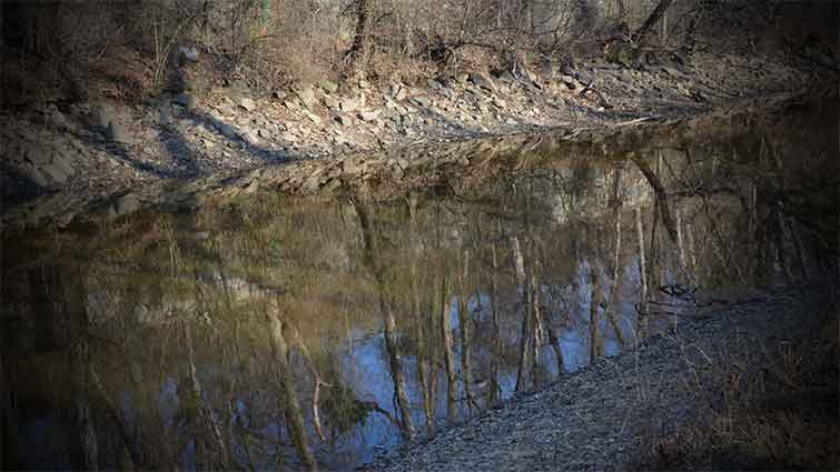 Christina Creek Delaware Fly Fishing