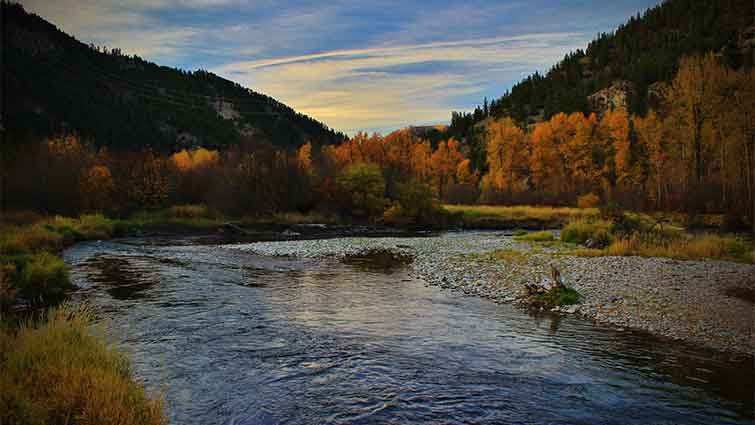 Clark Fork River Montana Fly Fishing