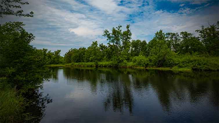 Cloquet River Minnesota Fly Fishing