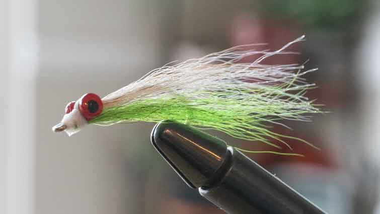 Clouser Minnow for Speckled Trout