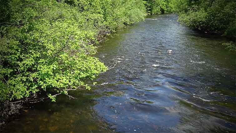 Clyde River Vermont Fly Fishing