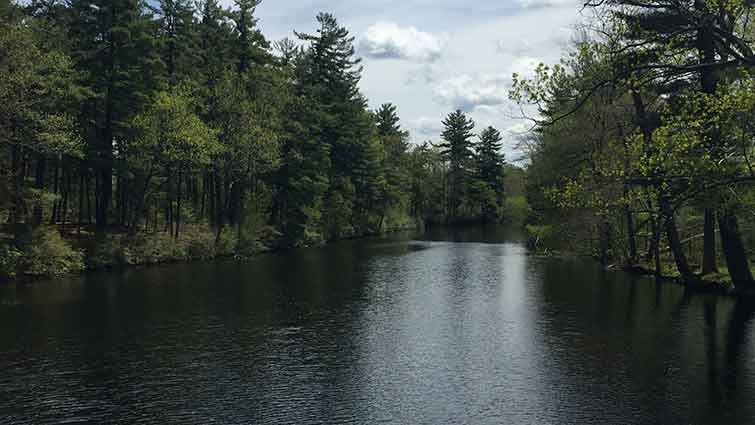 Cocheco River New Hampshire Fly Fishing