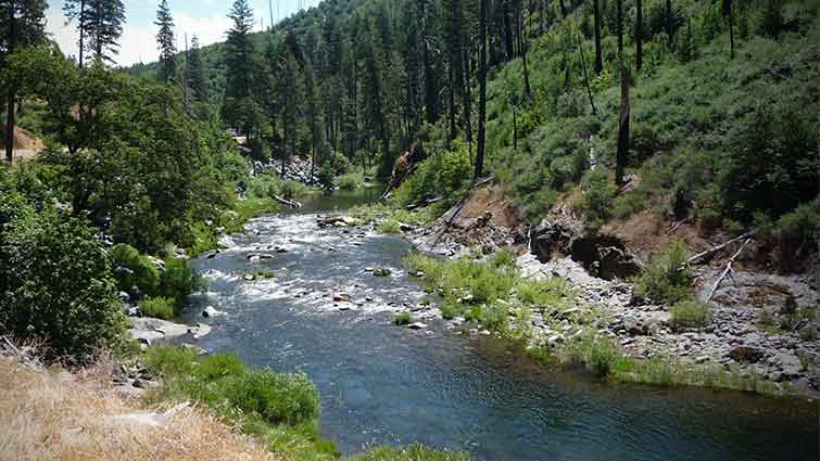 Costilla Creek New Mexico Fly Fishing