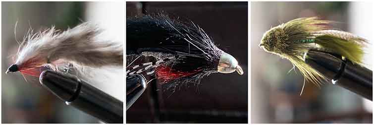 Fly Patterns for the Cowlitz River Washington