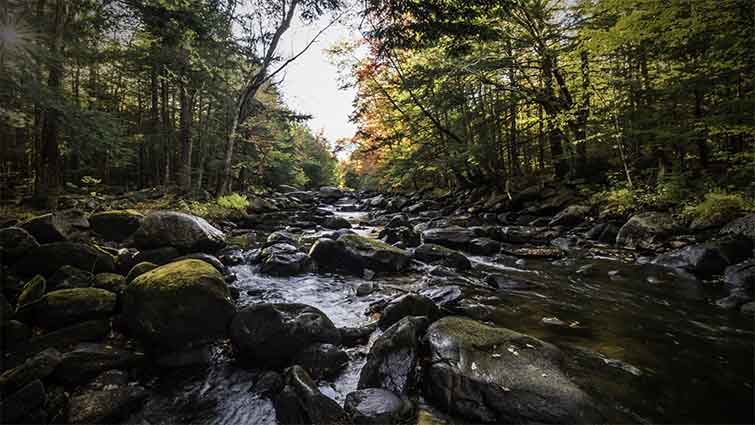 Crooked River Maine Fly Fishing