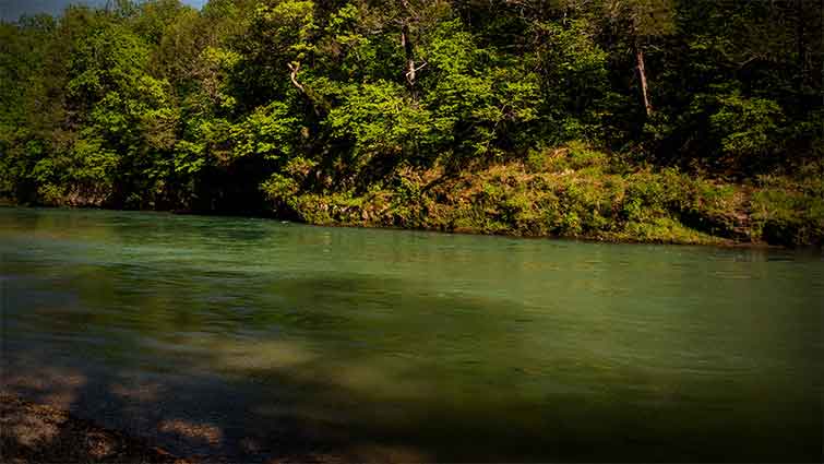 Current River Missouri Fly Fishing