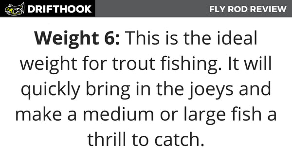 6 Weight Is Ideal for Trout