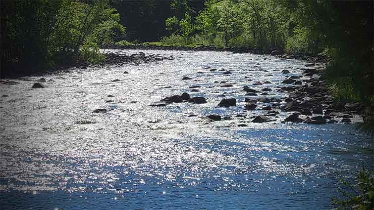 Dead River Maine Fly Fishing