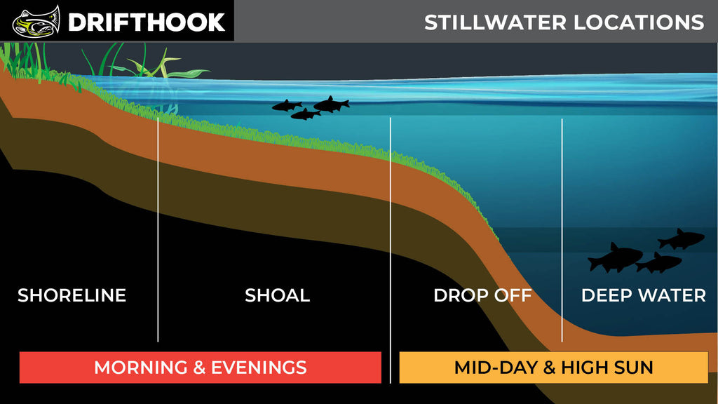 Still Water Time of Day Chart Best Fly Fishing for Still Waters
