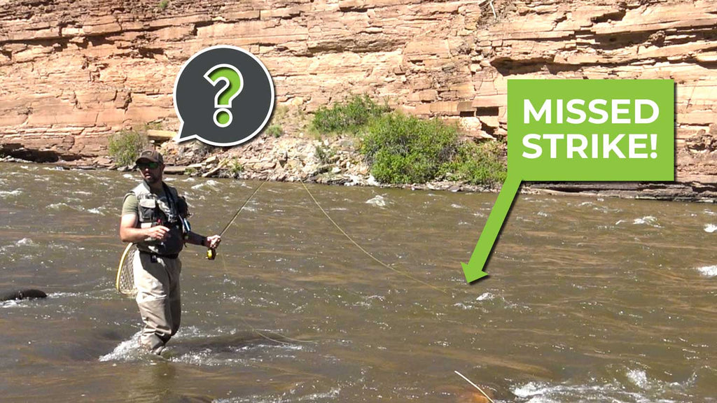 25 Tips on How to Fly Fish for Trout