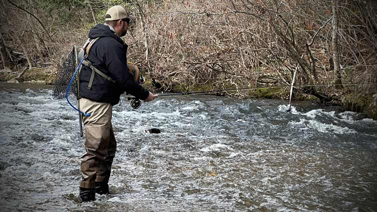 Man Fly Fishing in Water