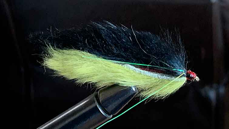 Euro Jig Streamer – Fly Fish Food