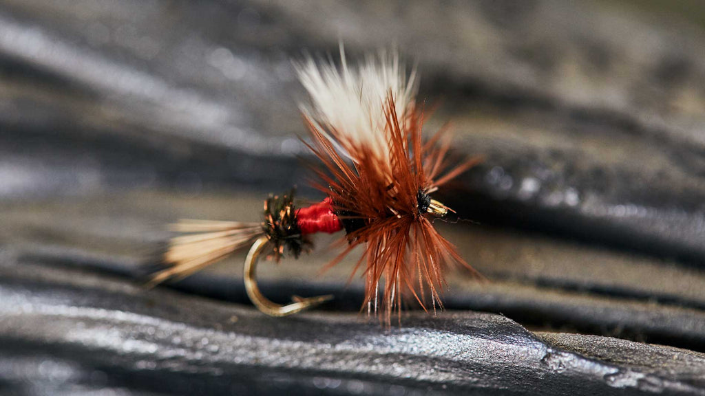 Drifthook Dry Fly Patterns - Royal Wolf