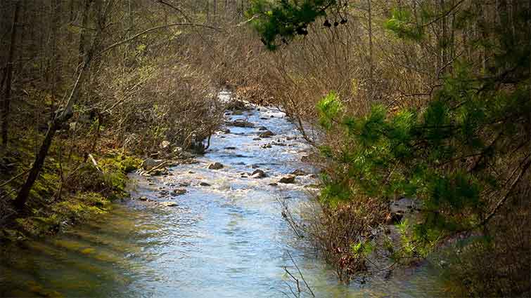 Dry Creek Arkansas Fly Fishing