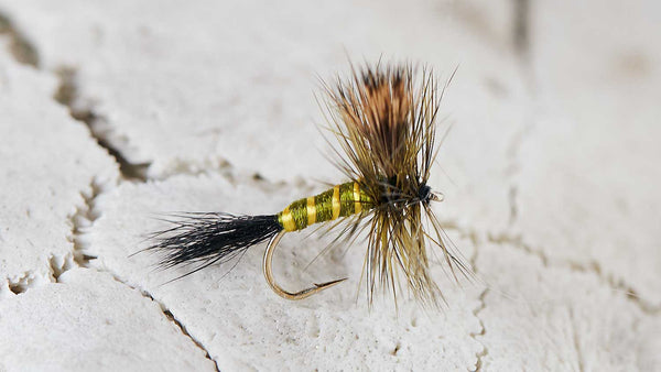 Dry Fly Fishing Fly Hook on Green Drake Fly