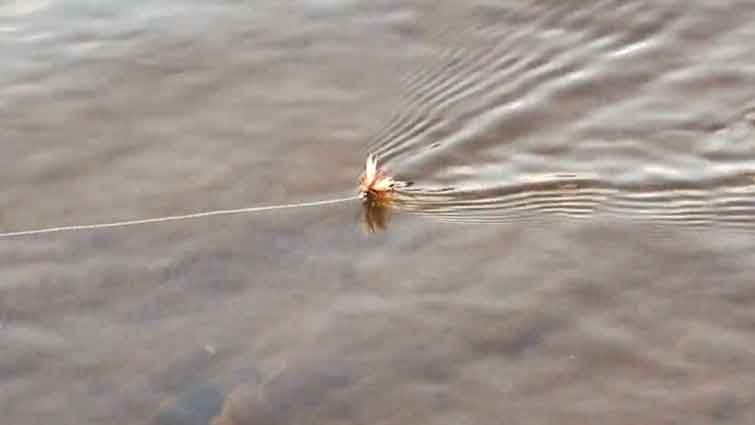 High N Dry Fly Floatant - The View From Harrys Window - A Fly Fishing Blog