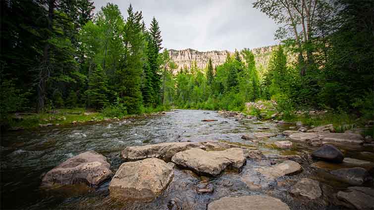 Duchesne River Utah Fly Fishing