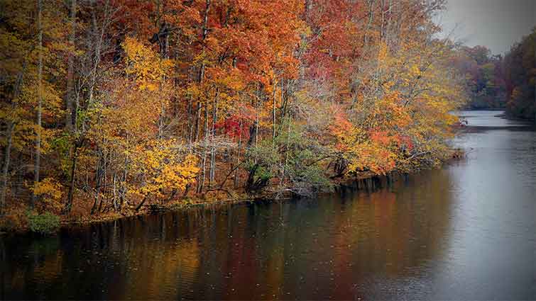 Duck River Tennessee Fly Fishing 