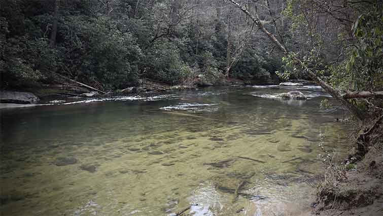 East Fork of the Chattooga River South Carolina Fly Fishing