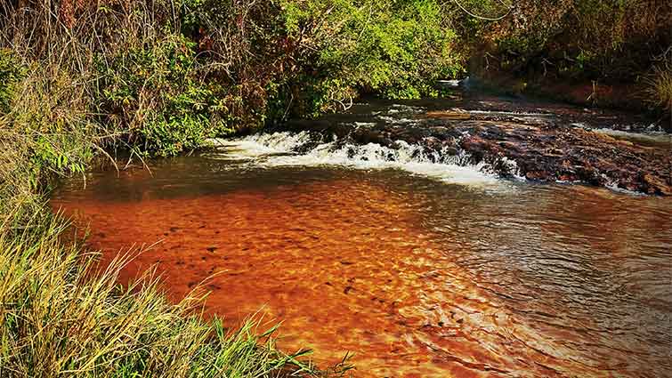 East Verdigre Creek Nebraska Fly Fishing