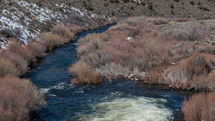 East Walker River Fly Fishing California