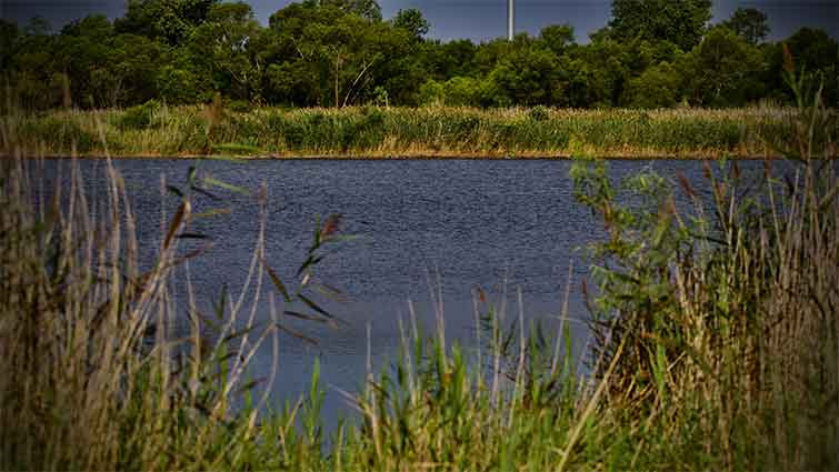 Edwards Park Oklahoma Fly Fishing