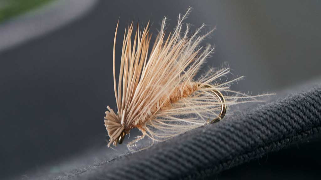 Caddis Dry Fly