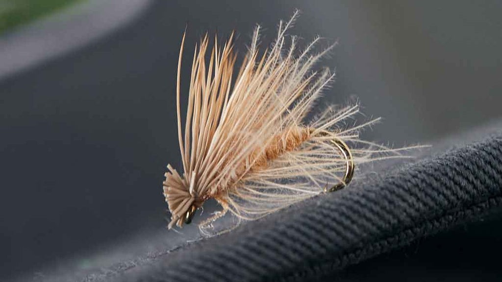 15 Best Trout Flies For August