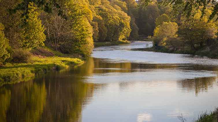 Elk River Alabama Fly Fishing