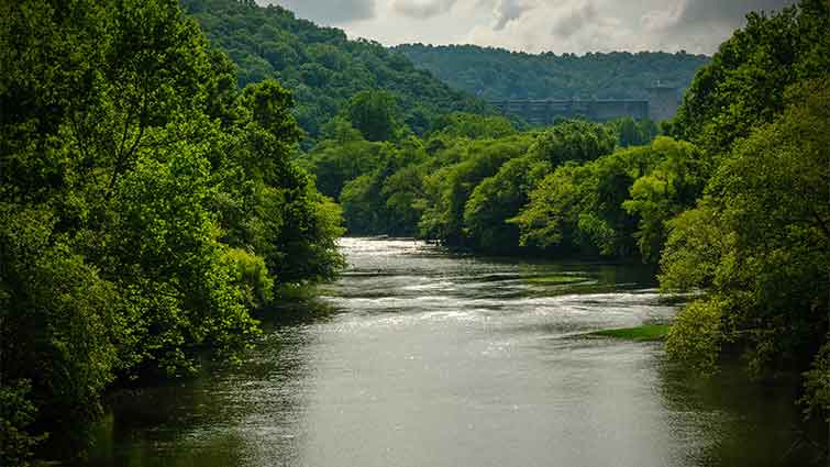 Elk River West Virginia Fly Fishing