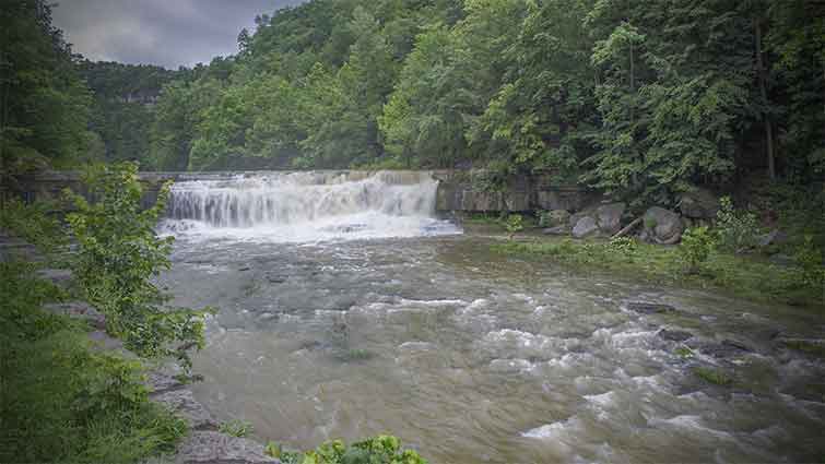 Fall Creek New York Fly Fishing 