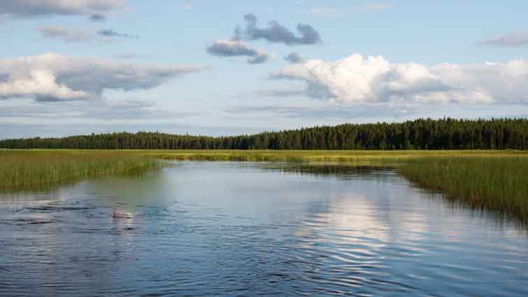 Fall River Fly Fishing California