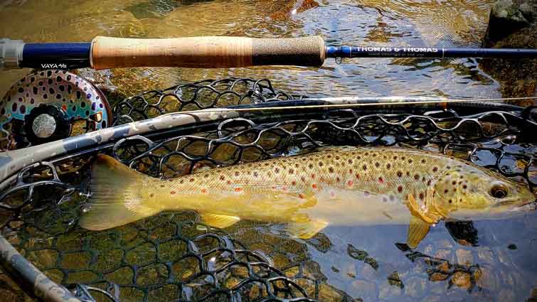 3 Types Of Fly Fishing Zingers - Benefits And How To Use Them
