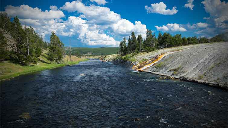 Firehole River & Slough Creek Wyoming Fly Fishing