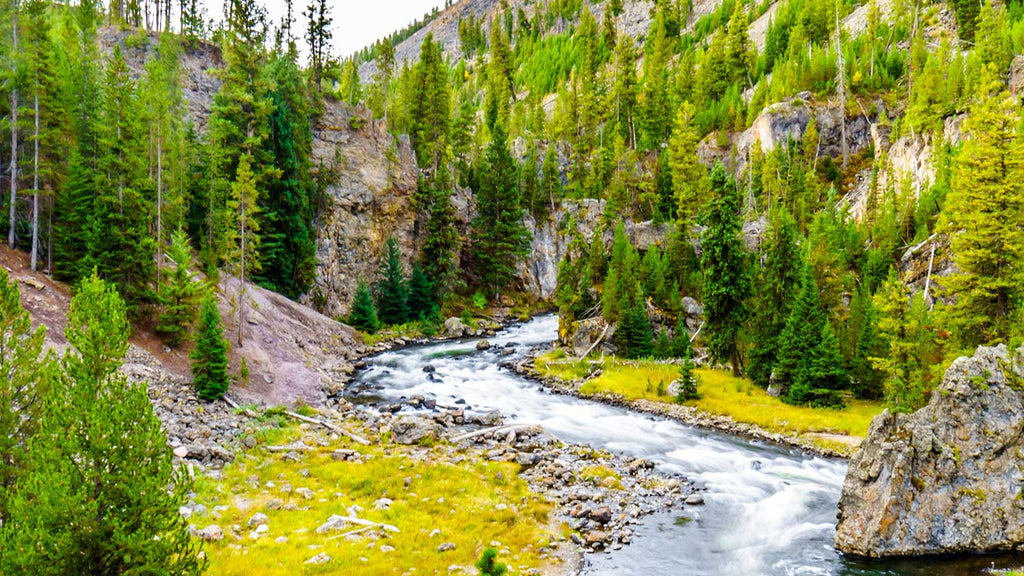 Fire Hole River Wyoming