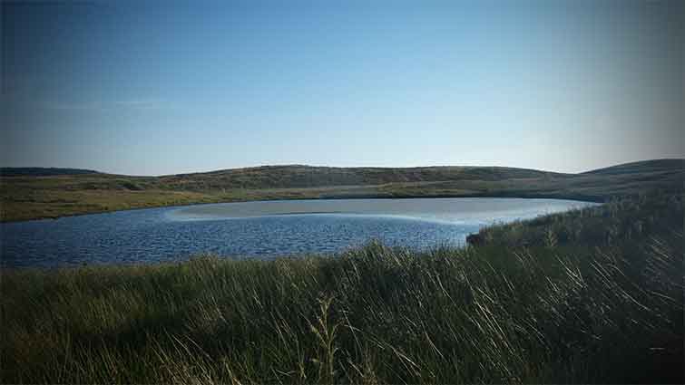 Fish Creek North Dakota Fly Fishing