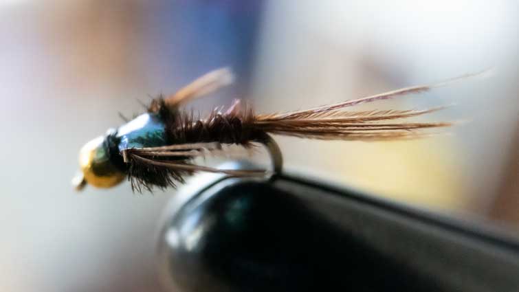 Flashback Pheasant Tail Nymph for Rainbow Trout