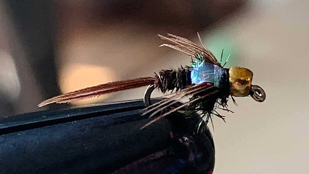 Flash Back Pheasant Tail