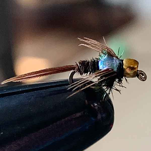 What Flies Are In Season?