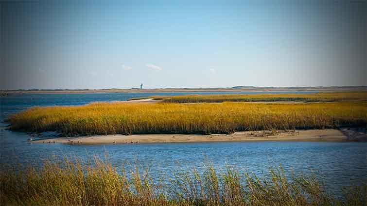 Flats at Provincetown Harbor Massachusetts Fly Fishing