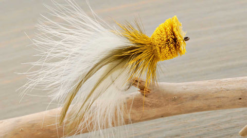 Fly Fishing Popper