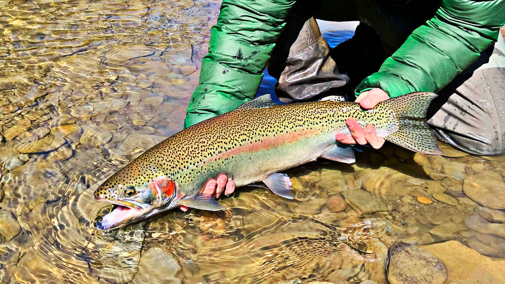 Fly Fishing with Egg Patterns