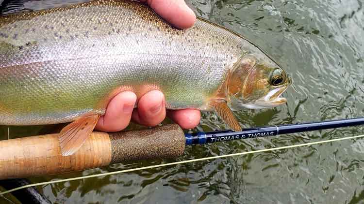 Fly Rod for Streamers